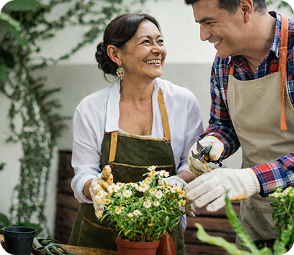 Talleres y asesorías