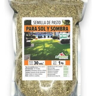 Semilla para pasto (Kg y bulto)